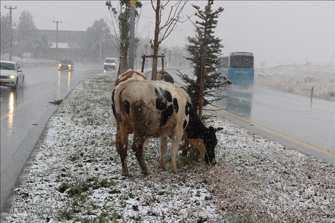 Doğu Anadolu Bölgesi´nde kar yağışı 
