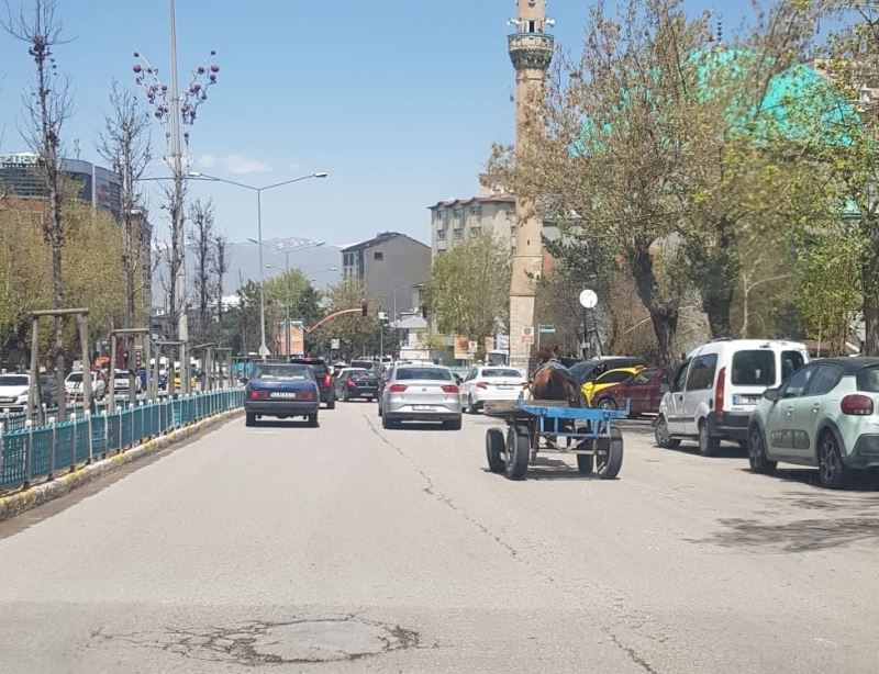 Erzurum’da dörtnala koşan at, trafiği birbirine kattı
