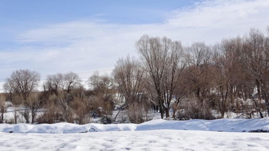 Ağrı’da 207 köy yolu kar nedeniyle ulaşıma kapandı