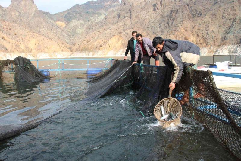 Ayvalı Baraj Gölü’nde alabalık ve somon üretimi, balıkçıların yüzünü güldürüyor
