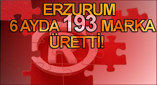Erzurum 6 ayda 193 marka üretti