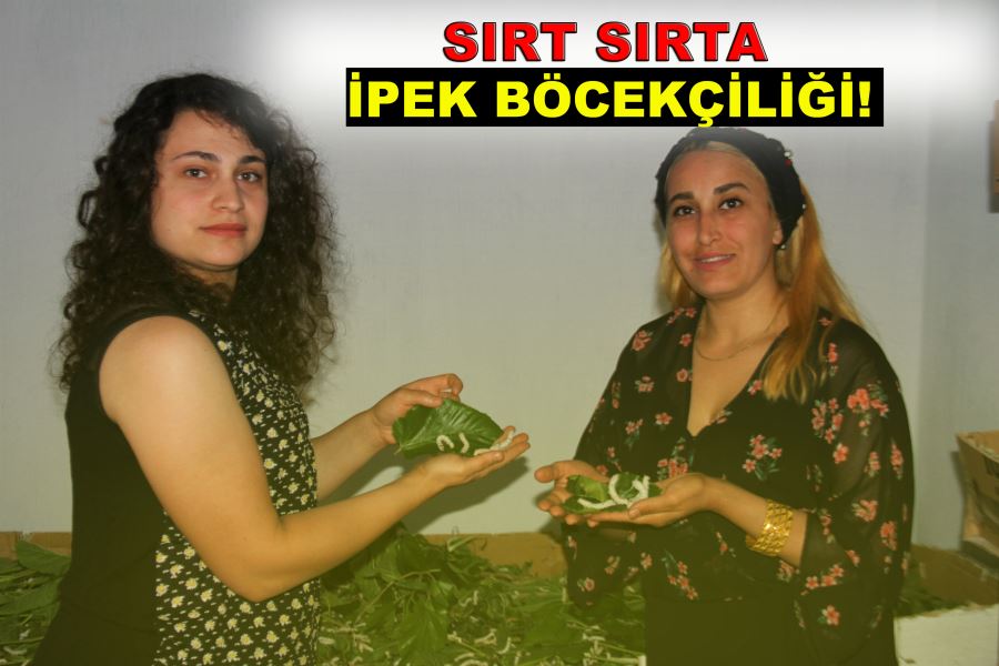 İki kadın arkadaş sırt sırta verdi ipek böcekçiliğine başladı, 45 günde 34 bin lira kazanacaklar