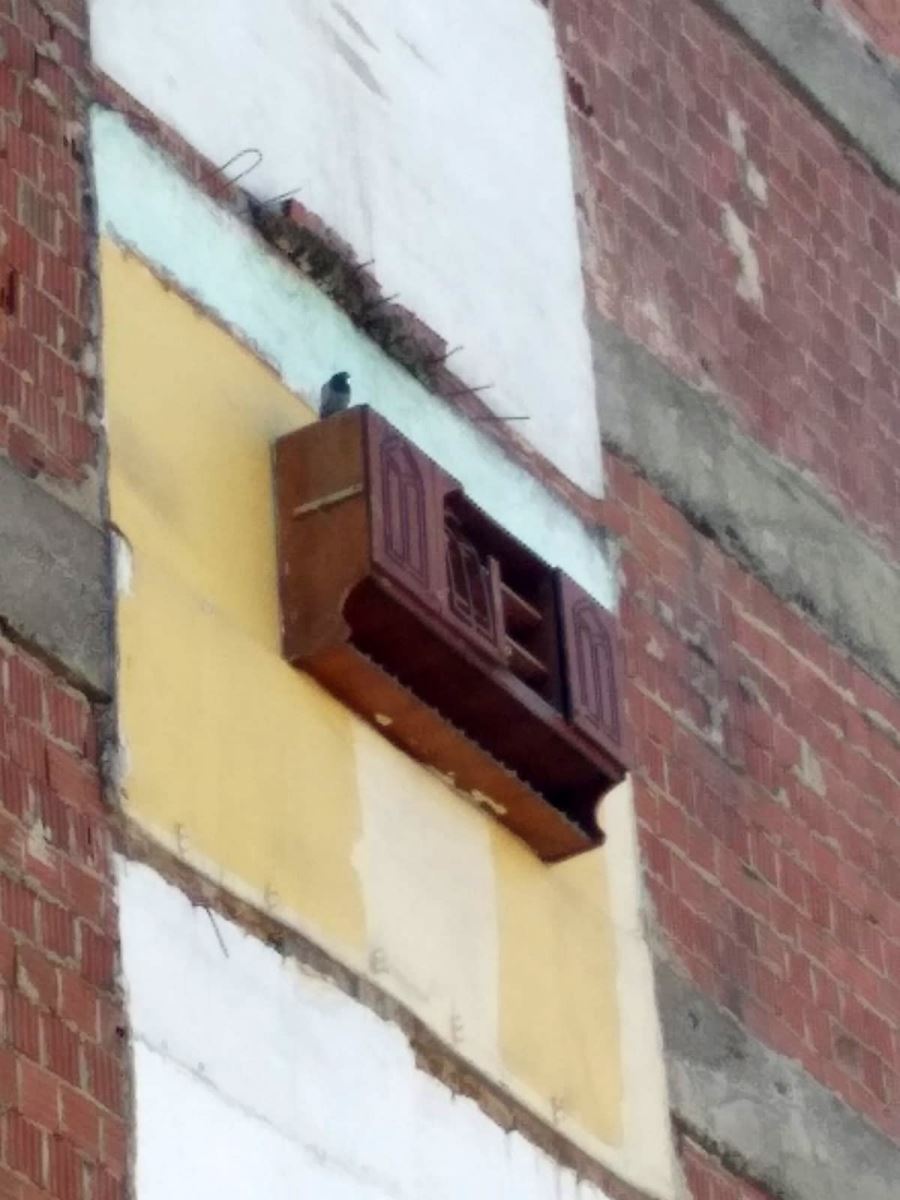 Depremde yıkılan binanın yanındaki apartmanda asılı kalan dolap kuşlara yuva oldu