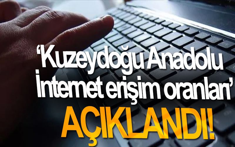 Kuzeydoğu Anadolu İnternet erişim oranları açıklandı