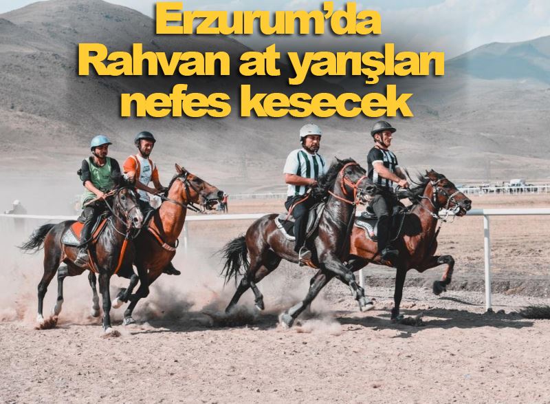 Erzurum’da Rahvan at yarışları nefes kesecek