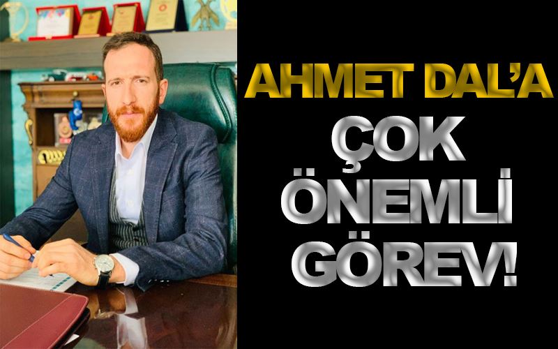 Ahmet Dal