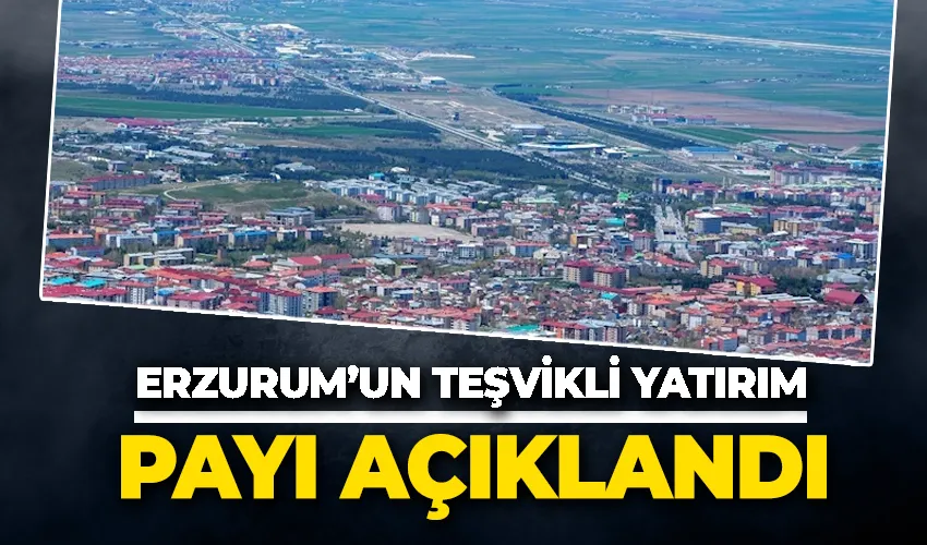 Erzurum’un teşvikli yatırım payı açıklandı