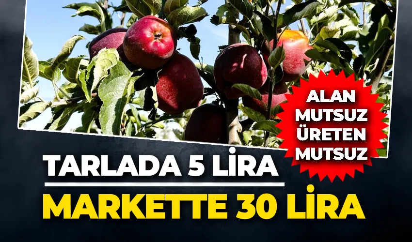 Tarlada 5 lira olan elmanın fiyatı markette 30 liraya kadar çıkıyor