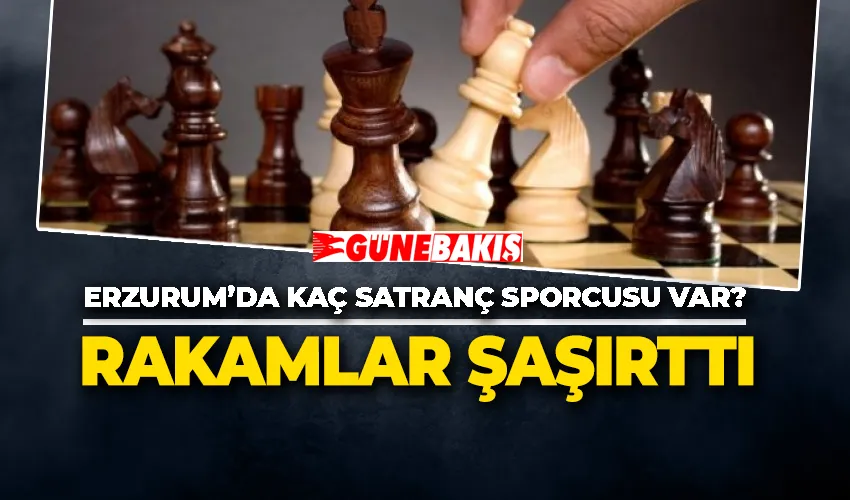 Erzurum’da Kaç Satranç Sporcusu var?