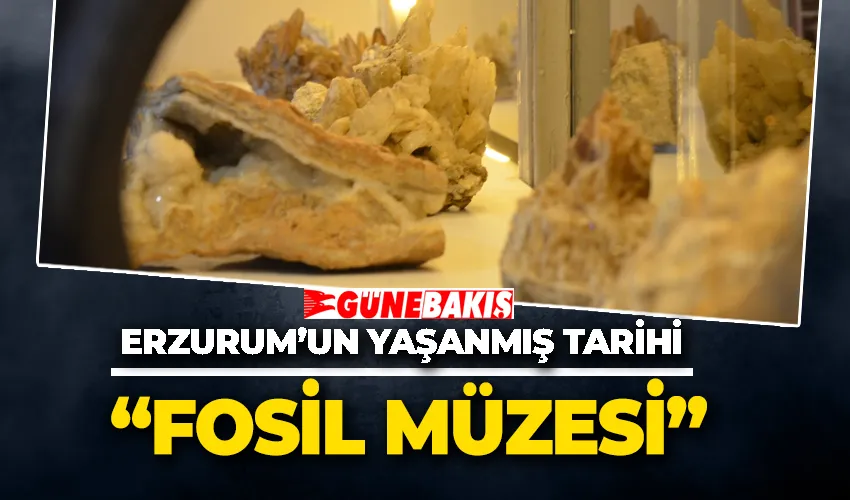 Erzurum’un “Fosil Müzesi” 