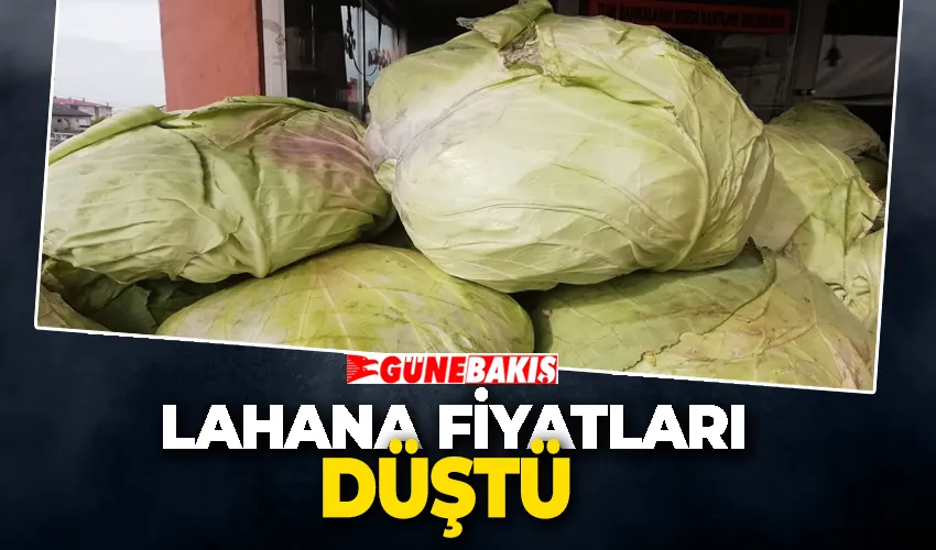 Erzurum’da lahana fiyatlarında düşüş yaşandı. 