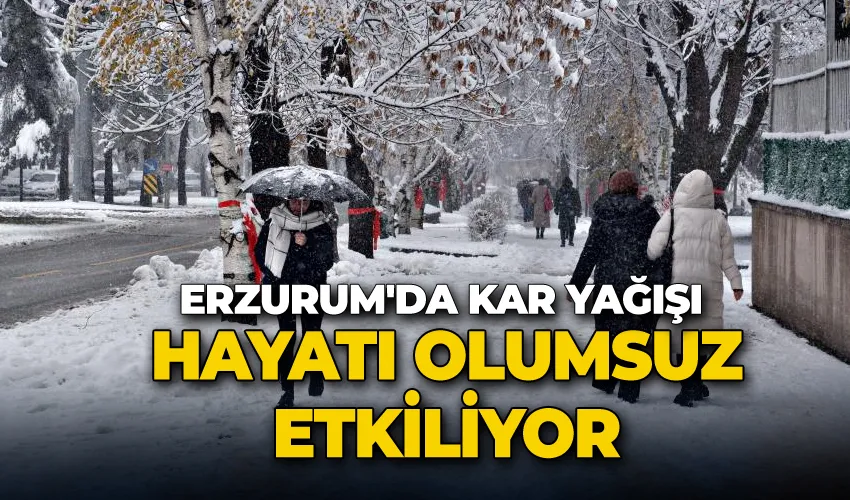 Erzurum’da kar yağışı hayatı olumsuz etkiliyor