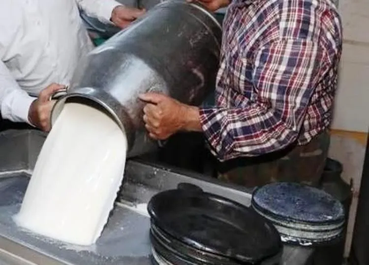 Ticari süt işletmelerince rekor süt toplandı