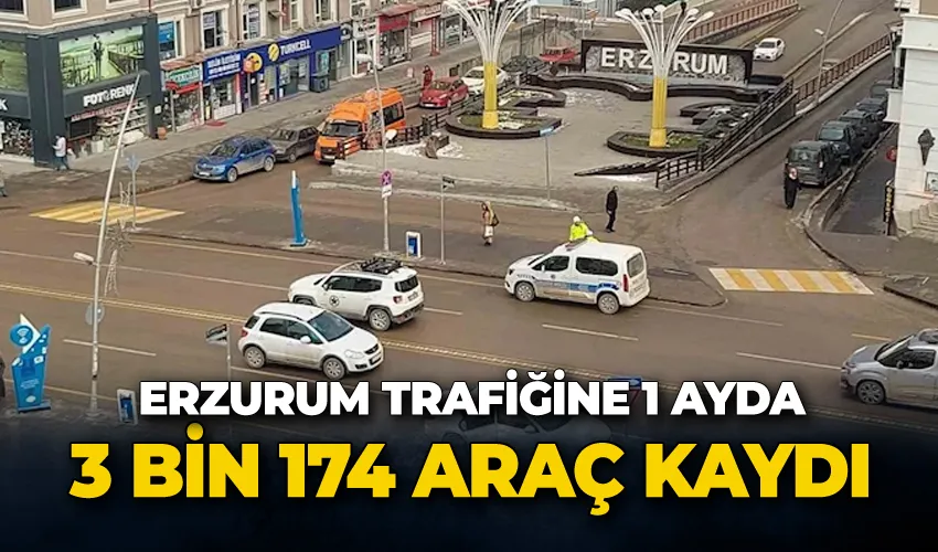 Erzurum trafiğine 1 ayda 3 bin 174  araç kaydı