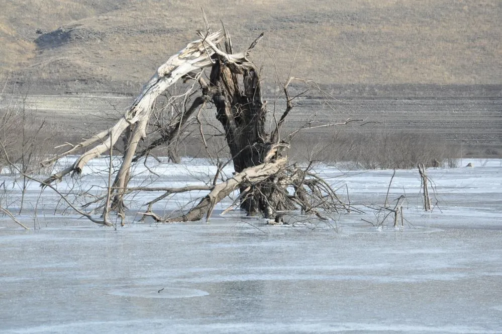 Kars’ta soğuktan baraj gölü dondu
