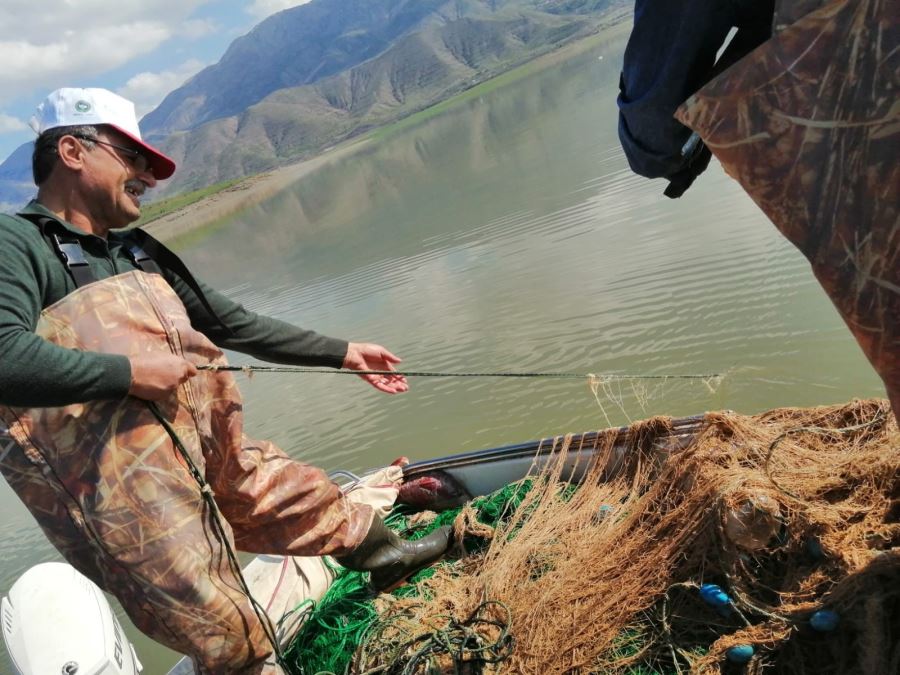 Elazığ’da kaçak avlandığı tespit edilen 100 kilo canlı balık ele geçirildi