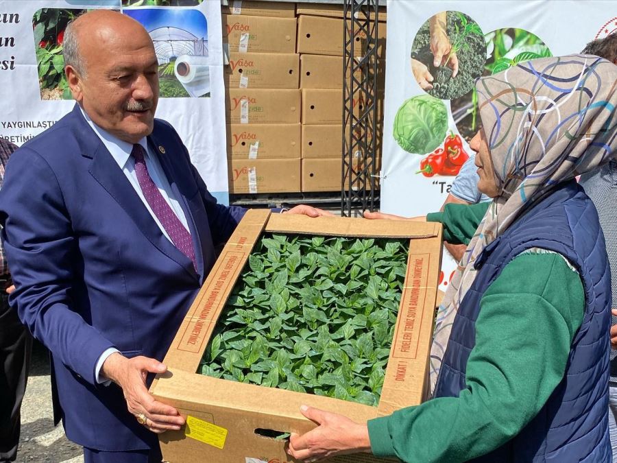 Erzincanlı çiftçilere 1 milyon fide dağıtıldı