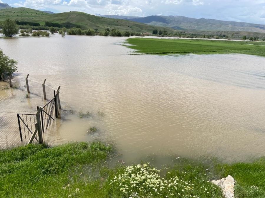 Karasu Nehri taştı, ekili tarlalar sular altında kaldı