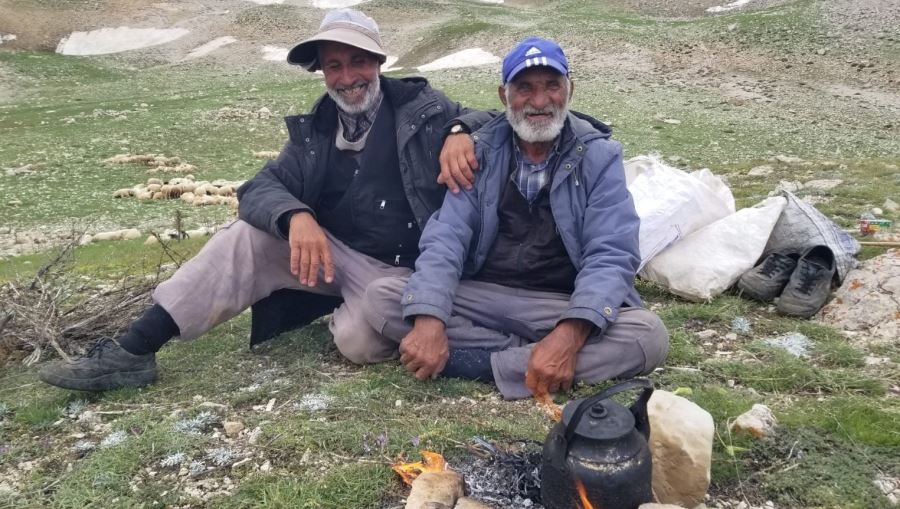 Koyun sürüleri İranlı çobanlara emanet