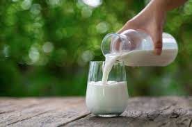 Çiğ süt tavsiye fiyatı belirlendi