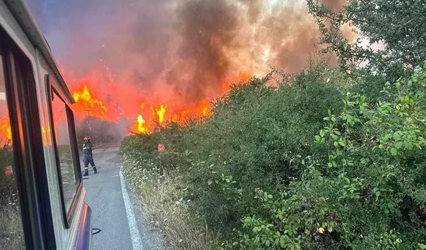 İtalya’daki orman yangınında alevler havalimanına yaklaştı