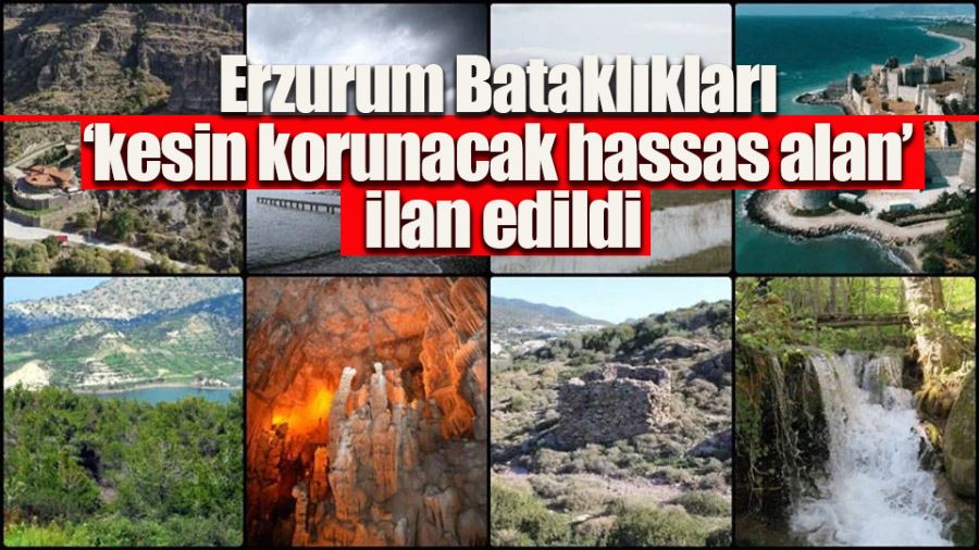 Erzurum Bataklıkları ‘kesin korunacak hassas alan’ ilan edildi
