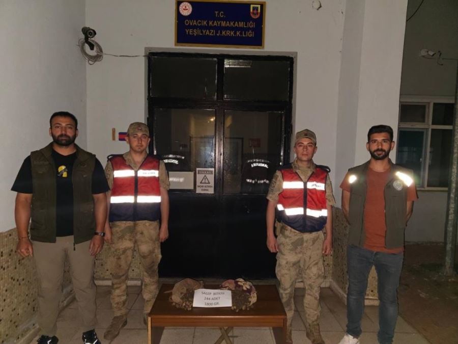 Tunceli’de salep soğanı toplayan 2 kişiye 220 bin lira ceza kesildi