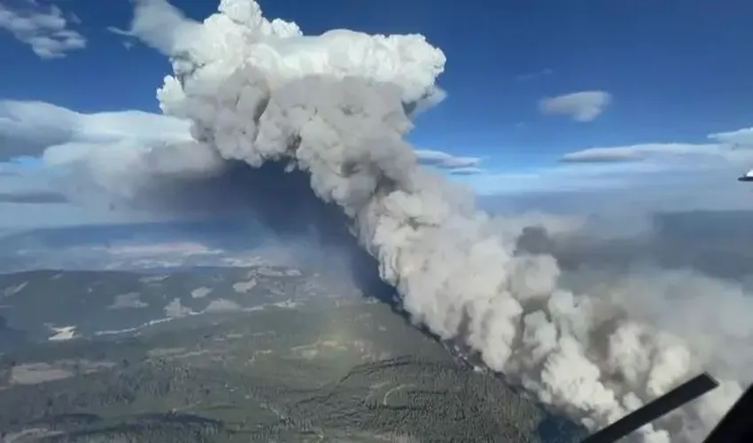 Kanada orman yangınları: Mart ayından bu yana 148 bin kilometrekare alan yandı