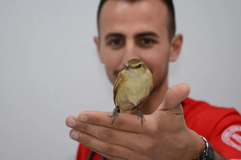  hayata döndürülen kuş tedavi altına alındı