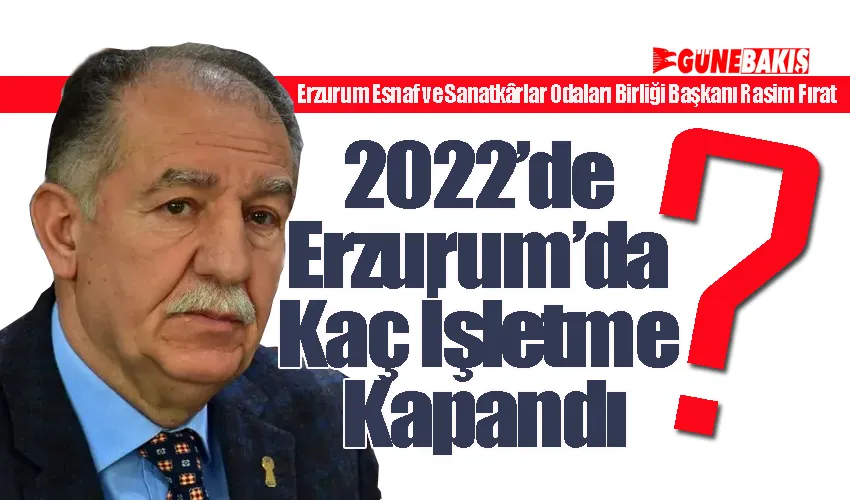 2022’de Erzurum’da Kaç İşletme Kapandı?
