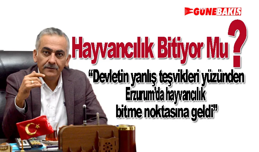 “Devletin yanlış teşvikleri yüzünden Erzurum’da hayvancılık bitme noktasına geldi”