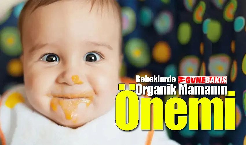 Bebekler İçin Organik Mamanın Önemi