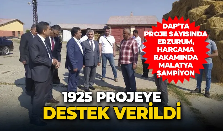 DAP’ta proje sayısında Erzurum, harcama rakamında Malatya şampiyon