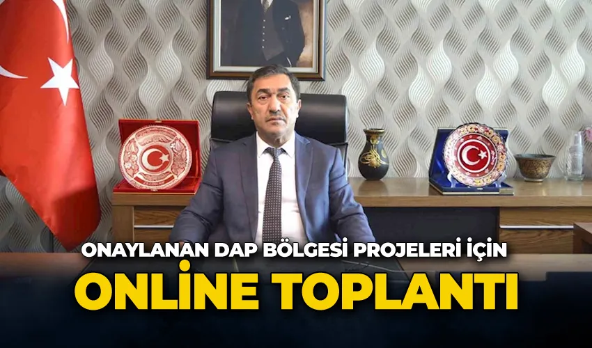Onaylanan DAP bölgesi projeleri için online toplantı