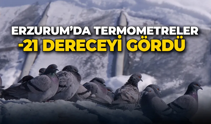 Erzurum’da termometreler -21 dereceyi gördü