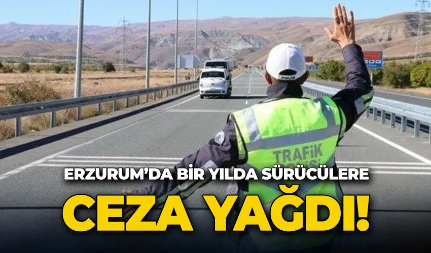 Erzurum’da  bir yılda 70 bin 301 sürücüye ceza kesildi
