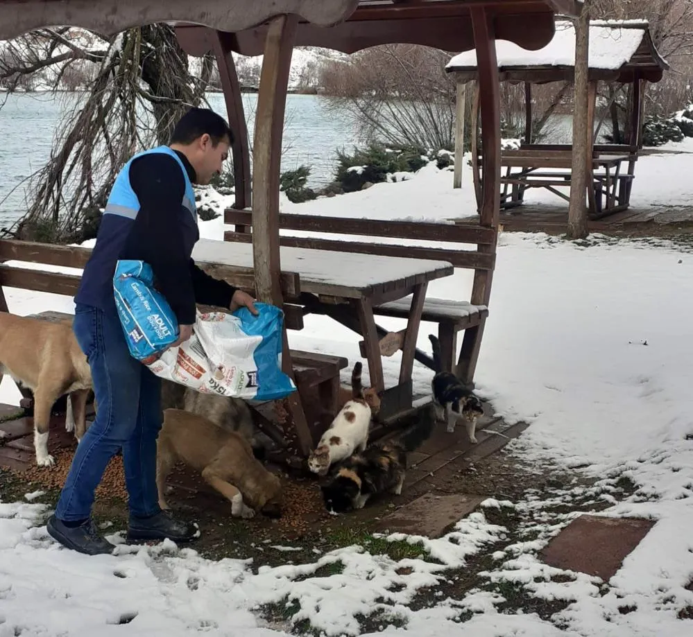 Battalgazi’de sokak hayvanlara yem bırakıldı