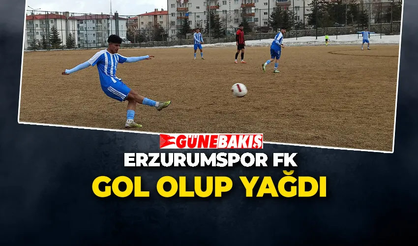 Erzurumspor Gol Olup Yağdı