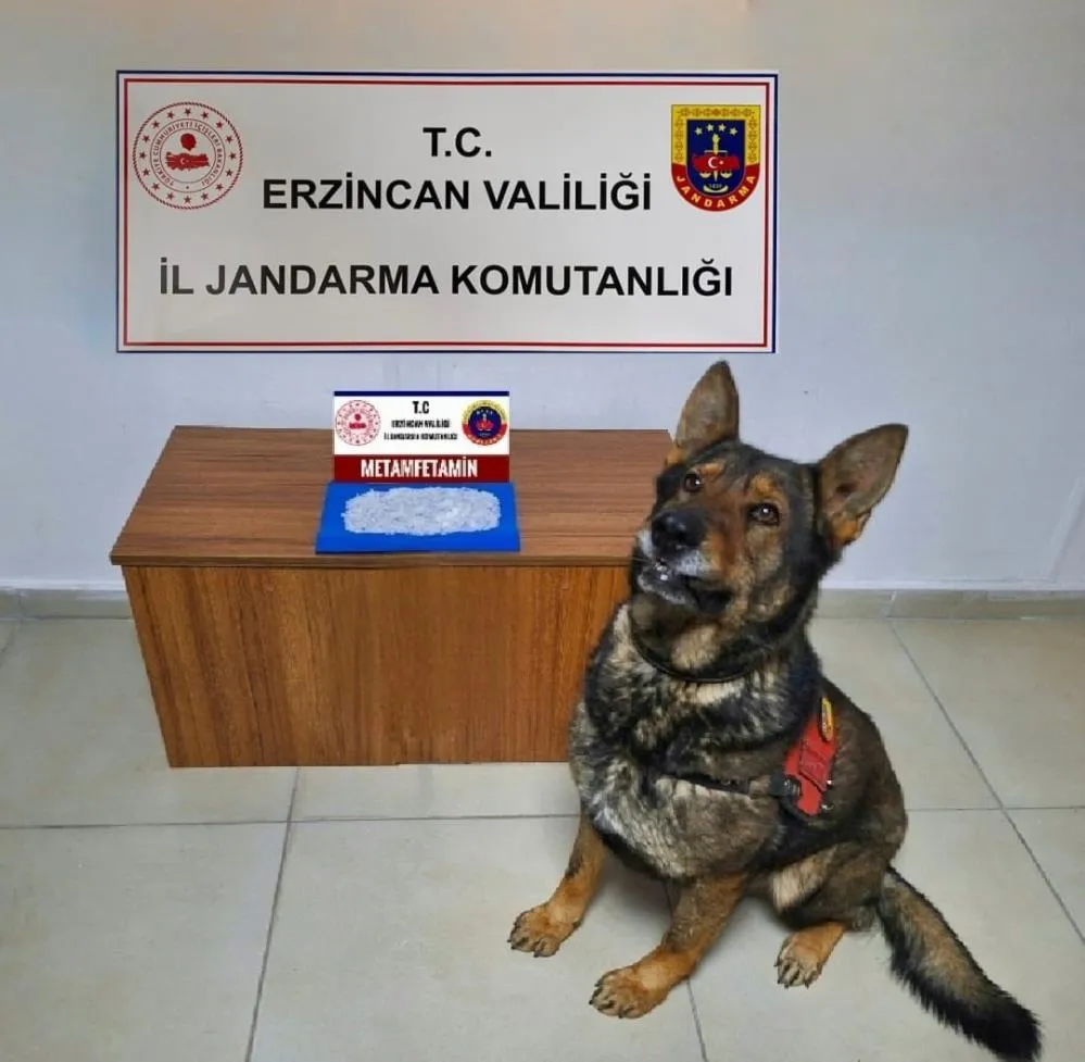 Erzincan’da jandarmadan uyuşturucu operasyonu