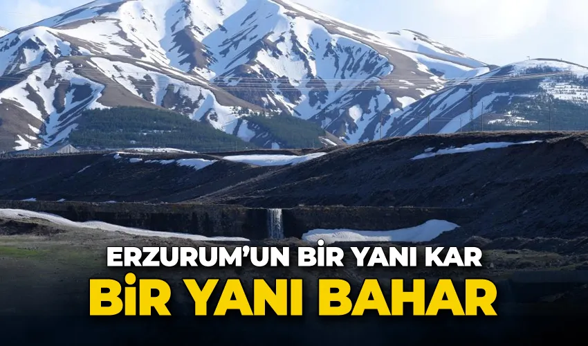 Erzurum’un bir yanı kar bir yanı bahar