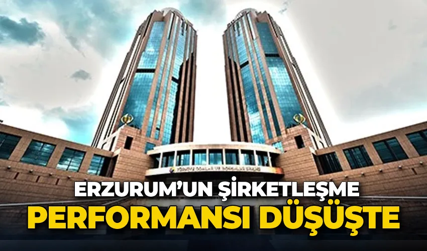 Erzurum’un şirketleşme performansı düşüşte