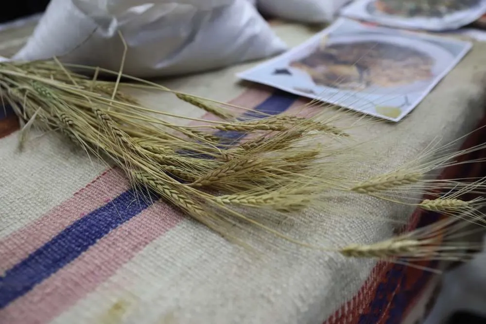 Bölgenin değeri; Ardahan Kavılcası