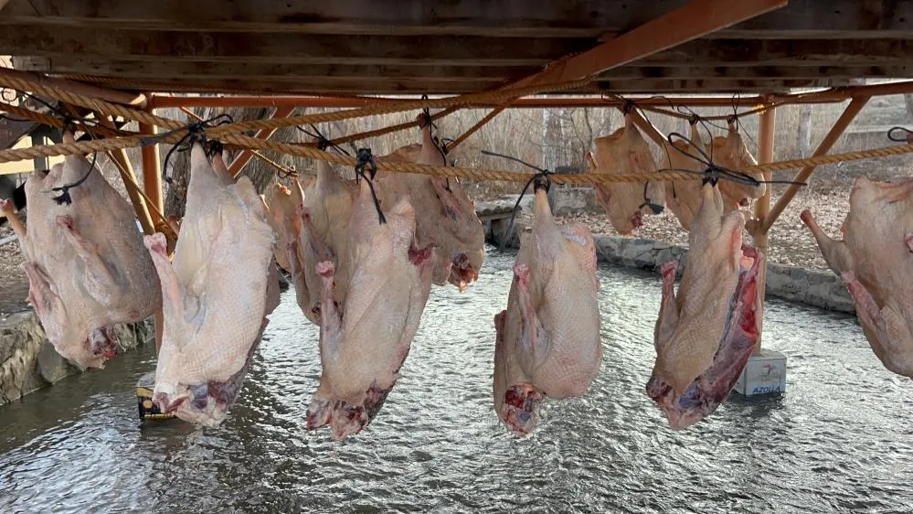 Kars kazı geleneksel yöntemlerle kurutuluyor