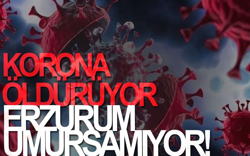 Korona öldürüyor, Erzurum umursamıyor...