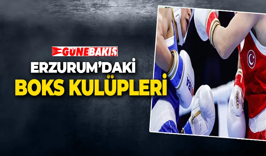 Erzurum’daki Boks Kulüpleri
