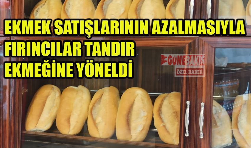 EKMEK SATIŞLARININ AZALMASIYLA FIRINCILAR TANDIR EKMEĞİNE YÖNELDİ