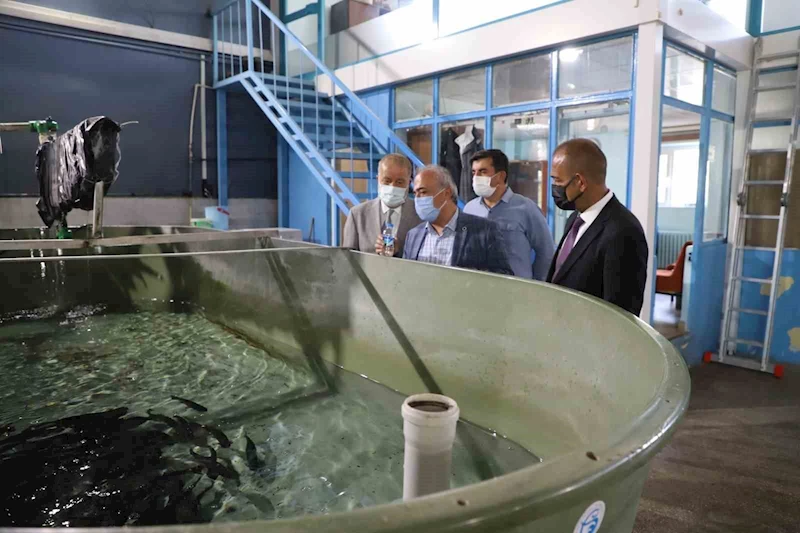 İçsu Balıkları Araştırma ve Uygulama Birimi