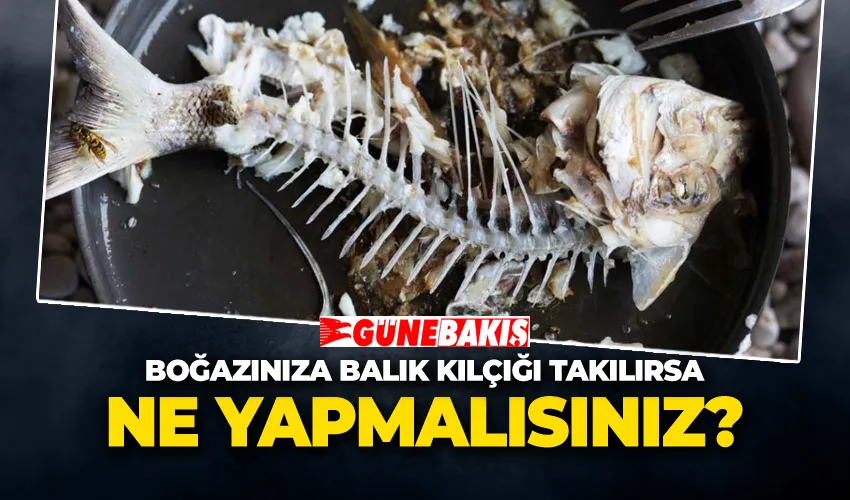 Boğazınıza Balık Kılçığı Takılırsa Ne Yapmalısınız? 