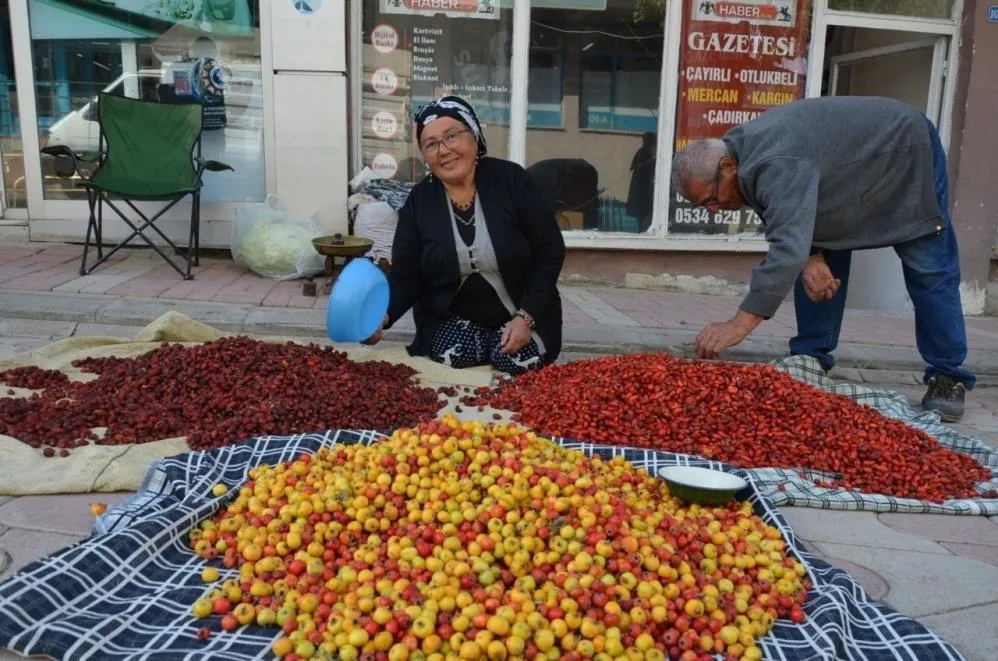 Yaban meyveleri pazar tezgahlarını süslüyor