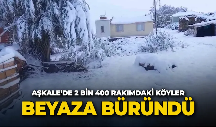 Aşkale’de 2 bin 400 rakımdaki köyler beyaza büründü